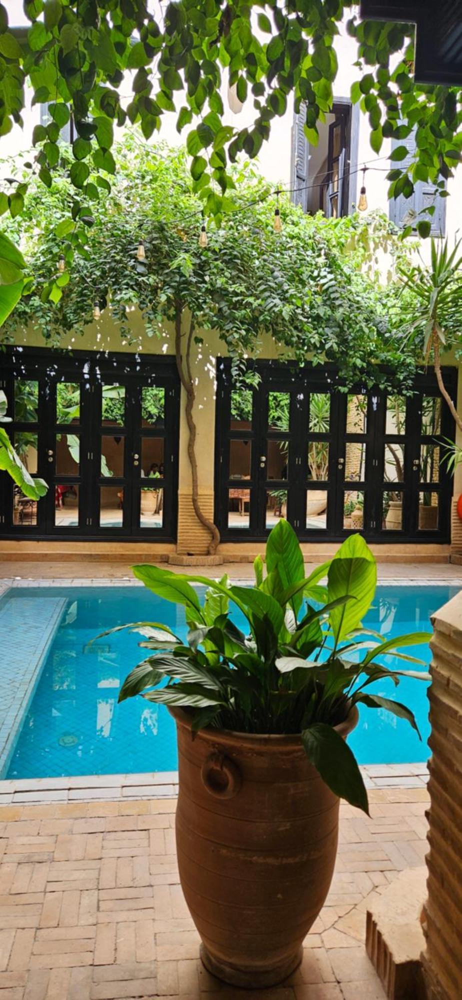 Riad Dar Haven Tamraght Exterior foto
